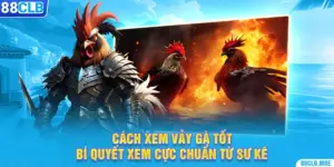 Cách Xem Vảy Gà Tốt – Bí Quyết Xem Cực Chuẩn Từ Sư Kê