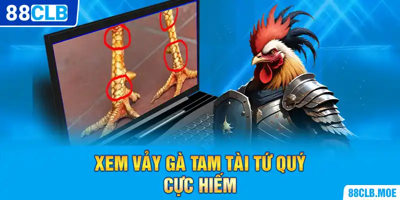 Xem vảy gà Tam Tài tứ quý cực hiếm